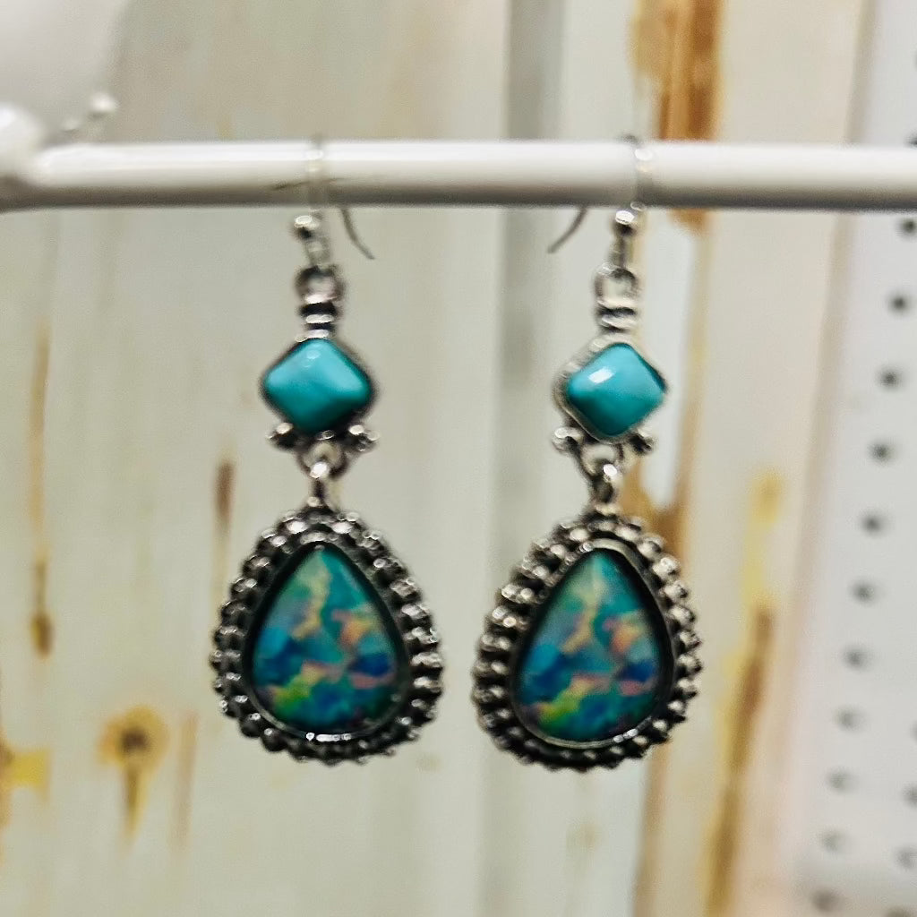 Multi-Color Earrings