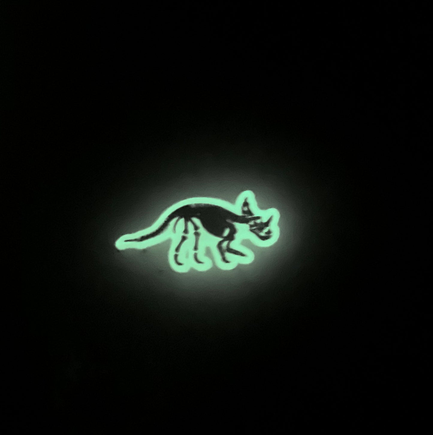 Glow In The Dark Dino’s