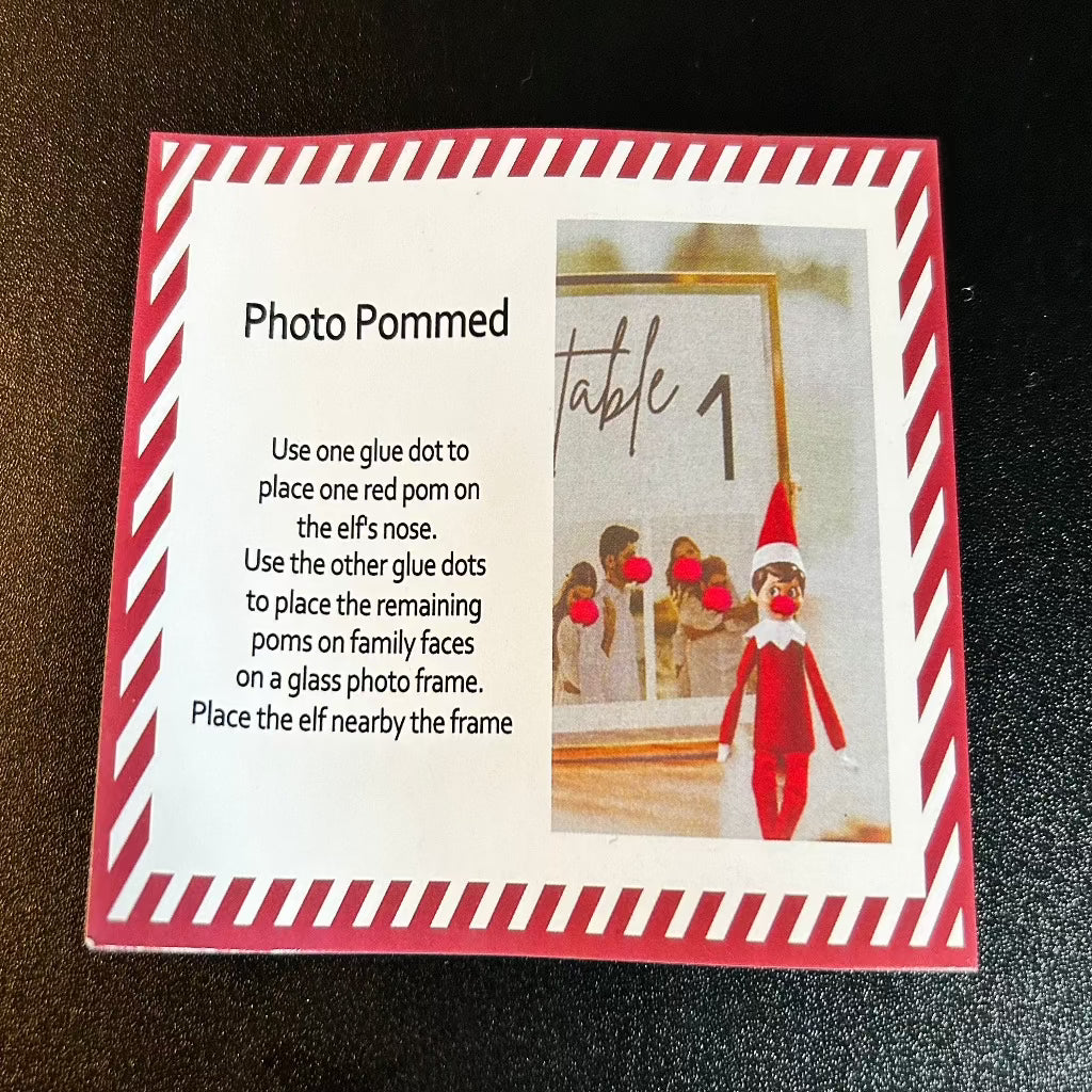 Photo Bomb Elf