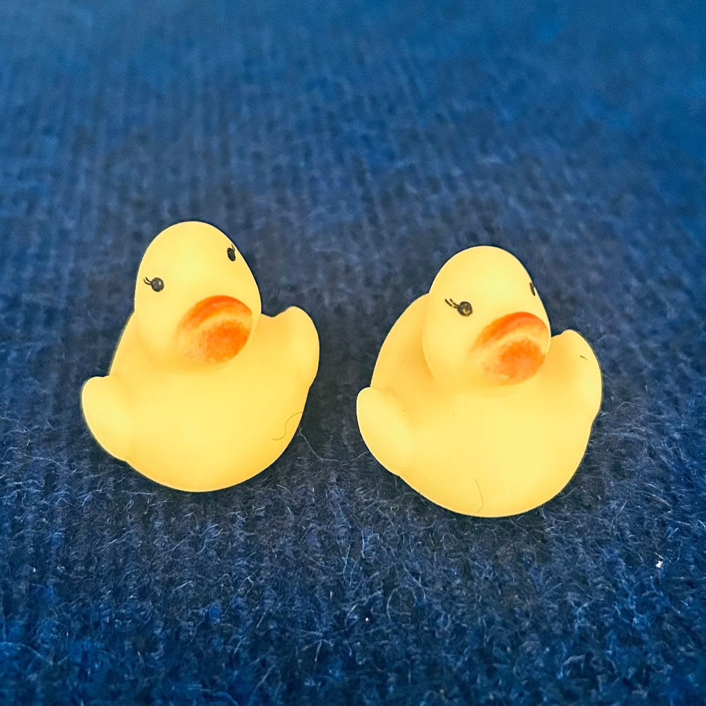 Feed The Ducks Elf Kit