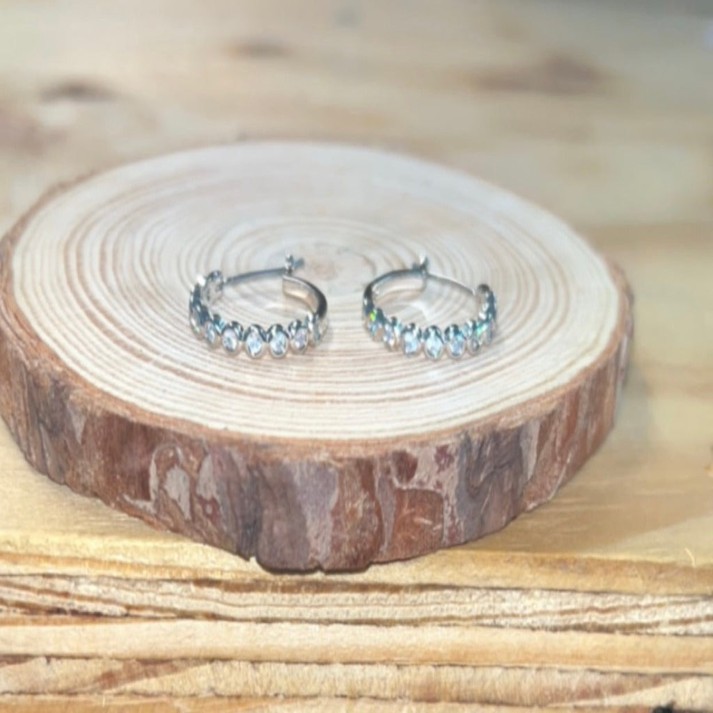 Full Moon Hoop Earrings