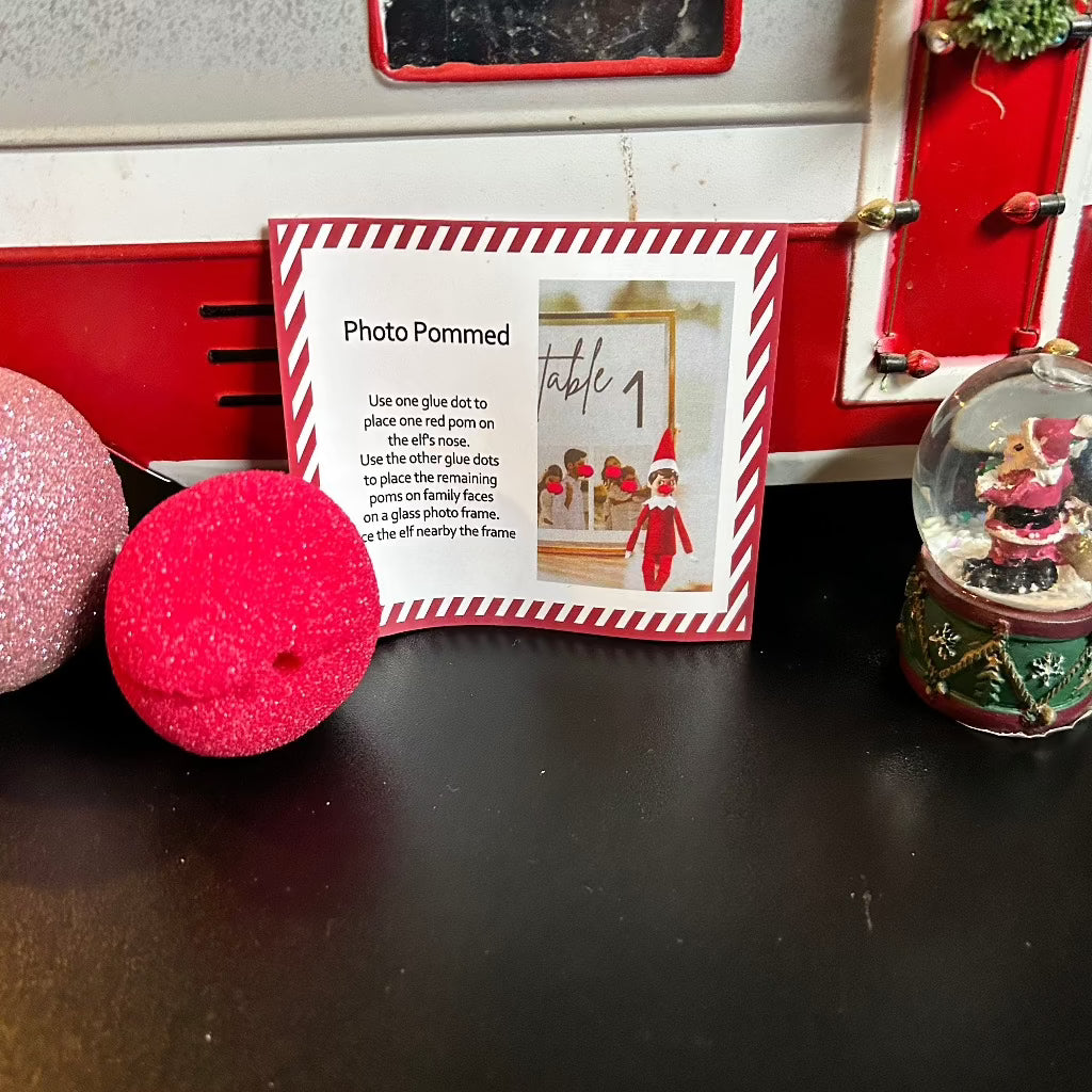Photo Bomb Elf