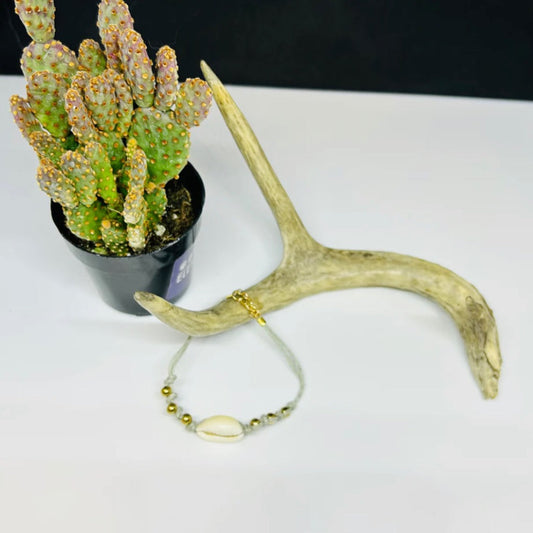 Sandy Seashell Bracelet