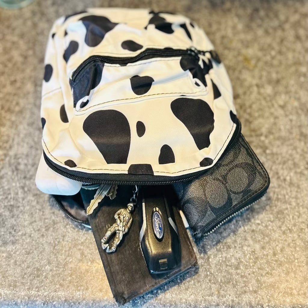 Mini Backpack