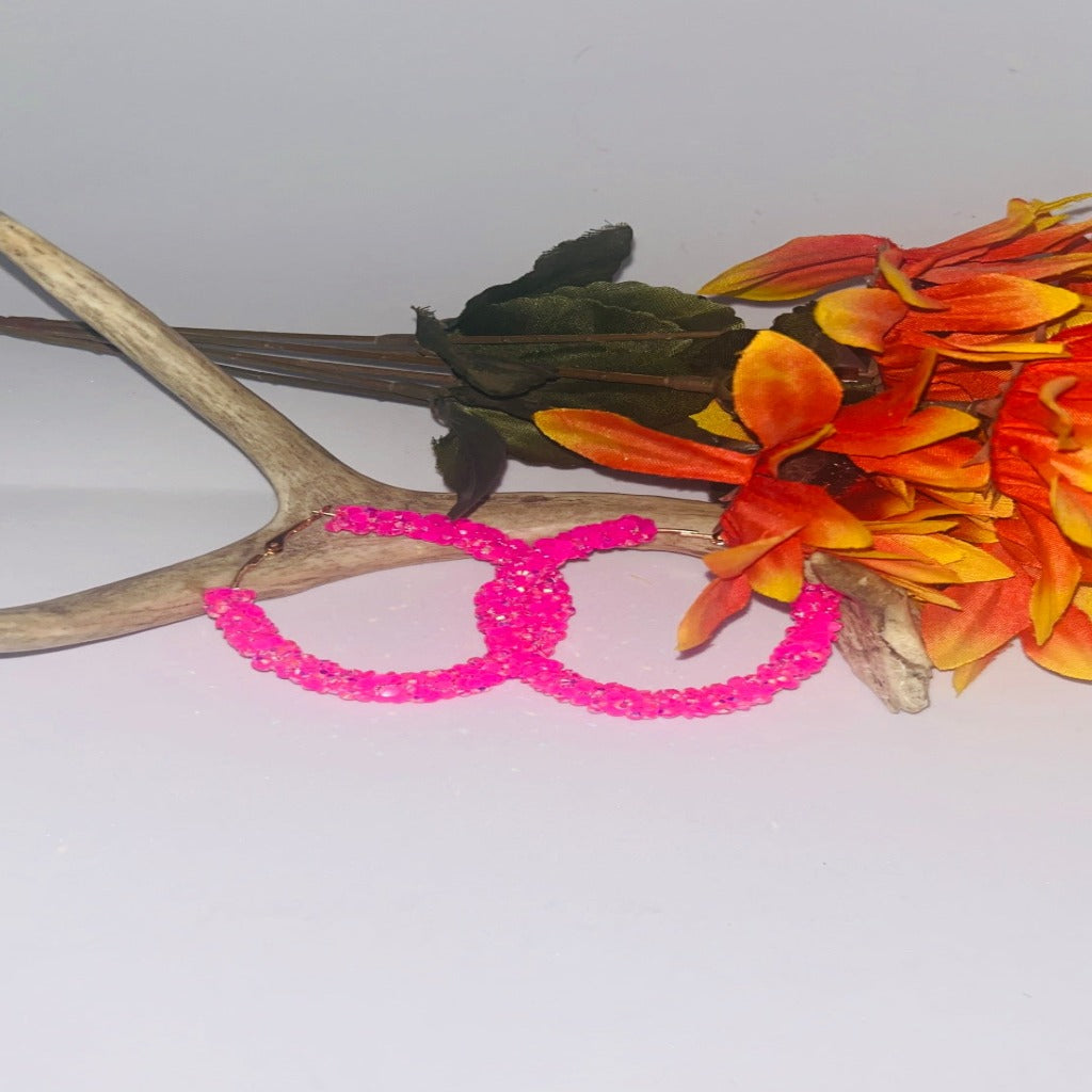 Hot Pink Hoop Earrings