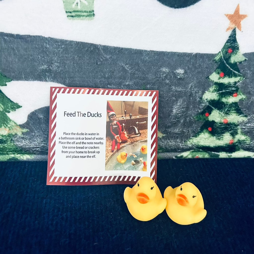 Feed The Ducks Elf Kit