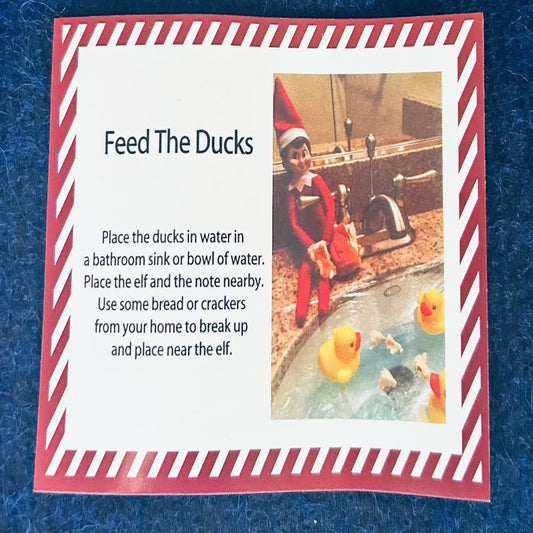 Feed The Ducks Elf Kit