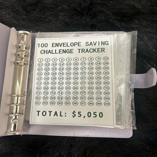 100 Envelope Savings Challenge