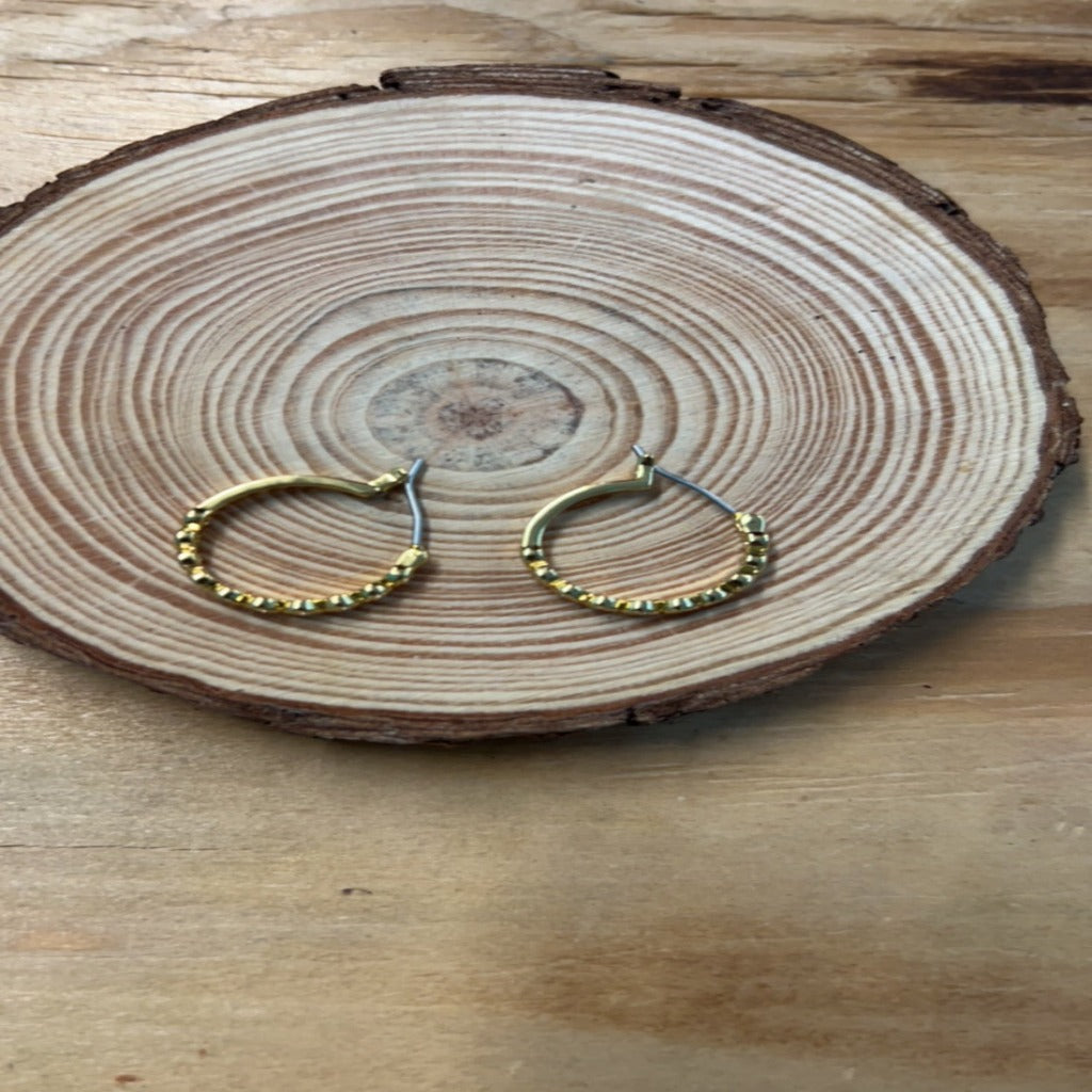 Beautiful Day Hoop Earrings