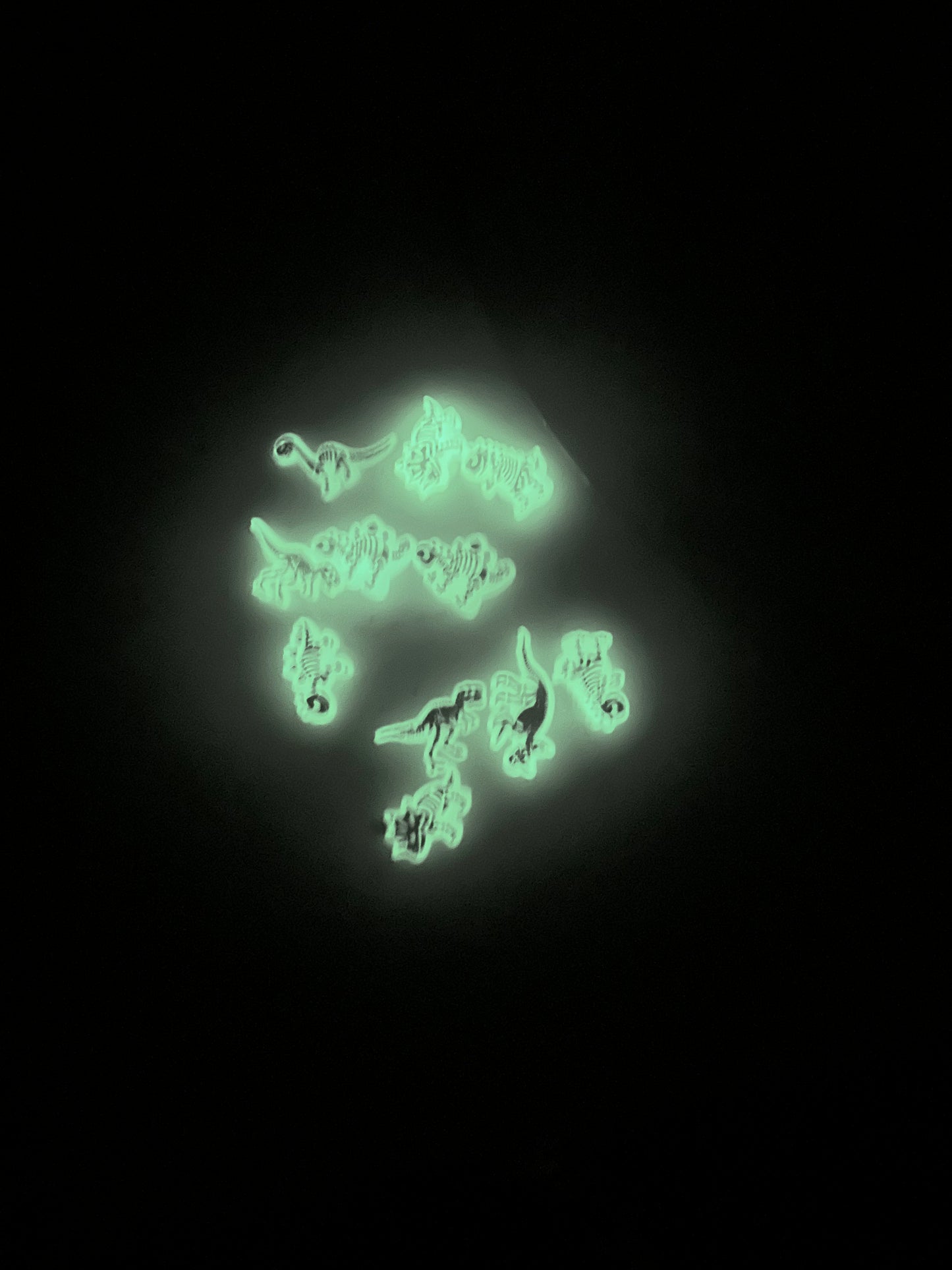 Glow In The Dark Dino’s