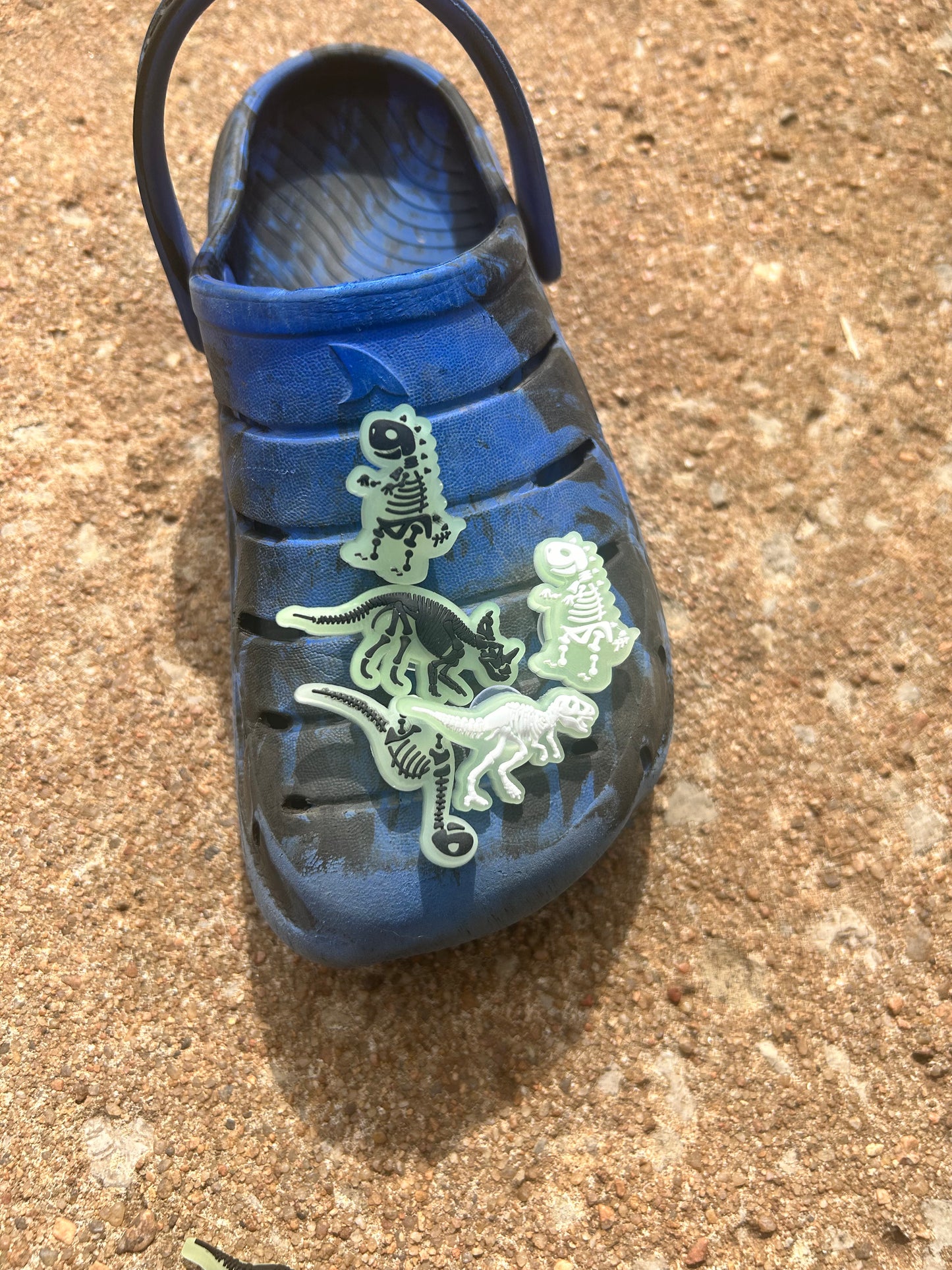 Glow In The Dark Dino’s