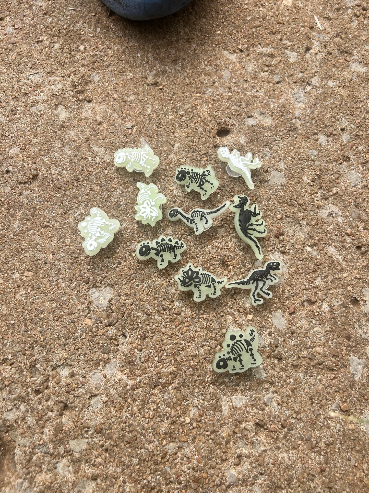 Glow In The Dark Dino’s