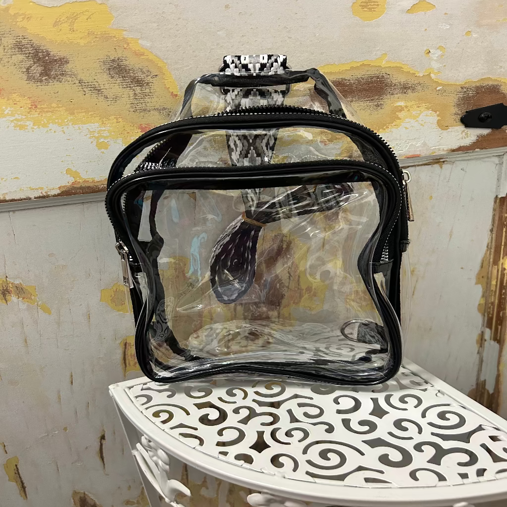 Clear Stadium Crossbody Bag