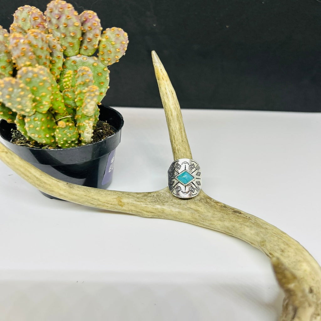 Bandits Western Ring