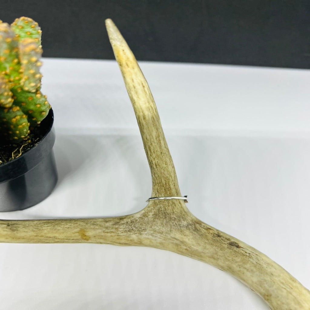 Sammy Arrow Ring