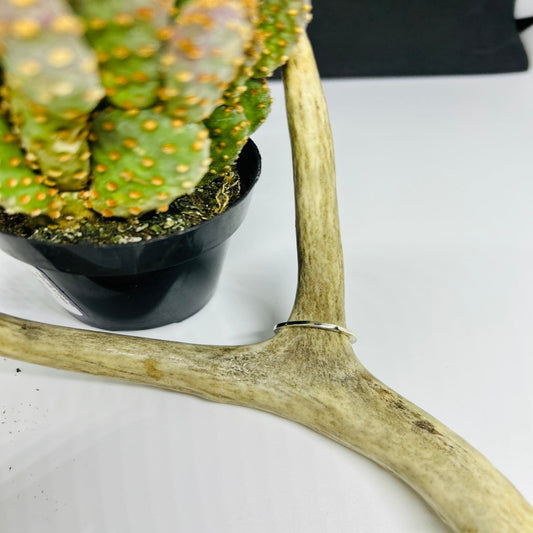 Silverado Bow N Arrow Ring