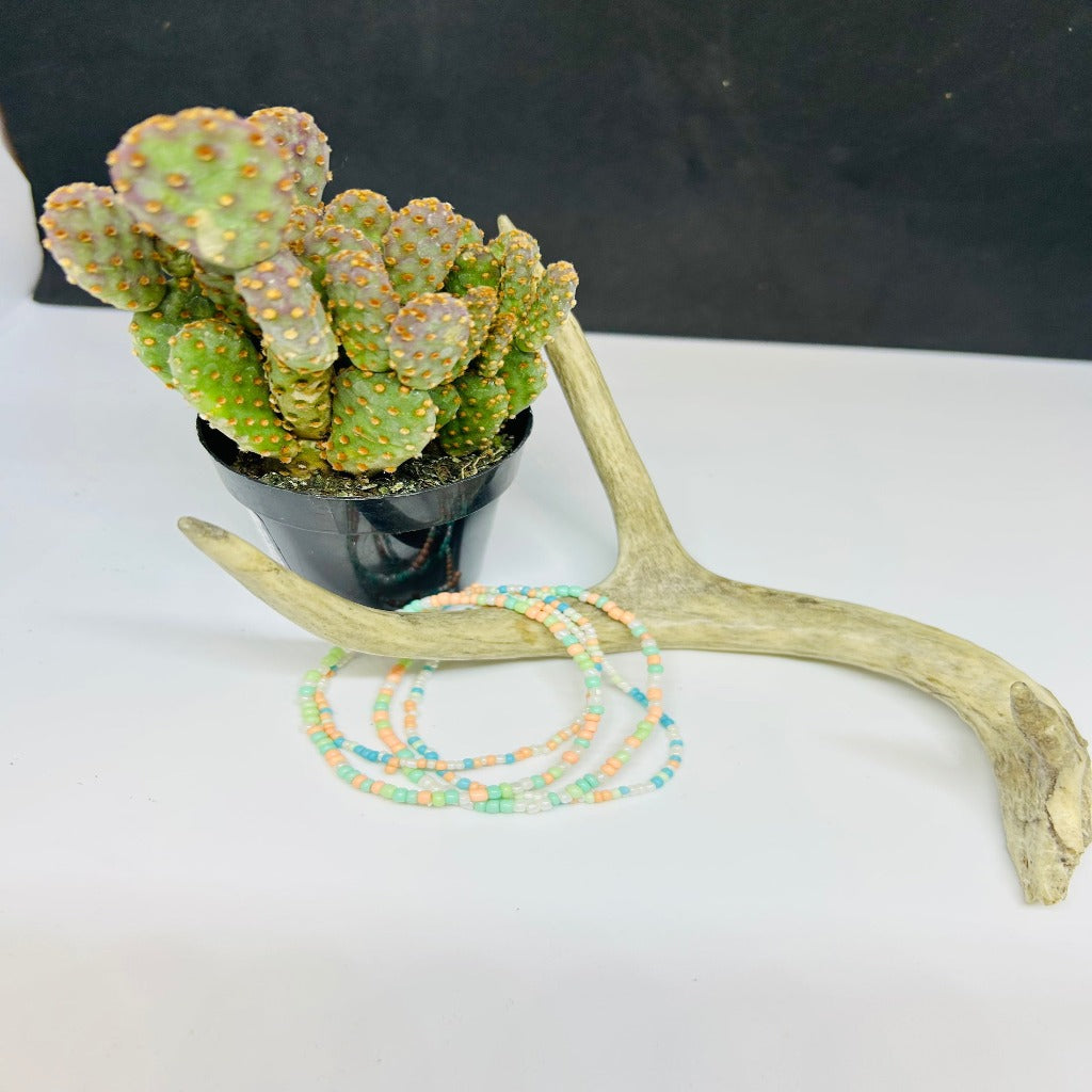 Seed Stackable Bracelet