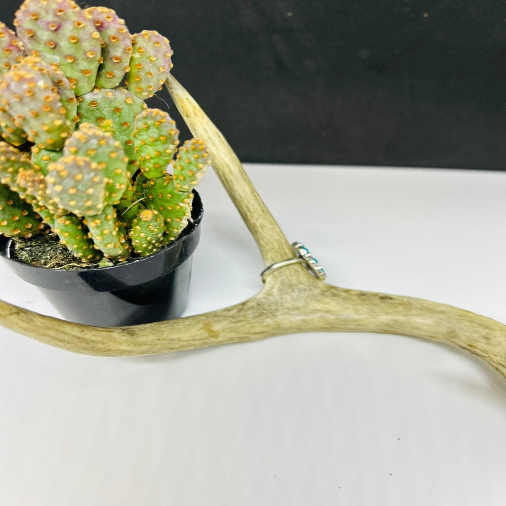Martha Western Ring