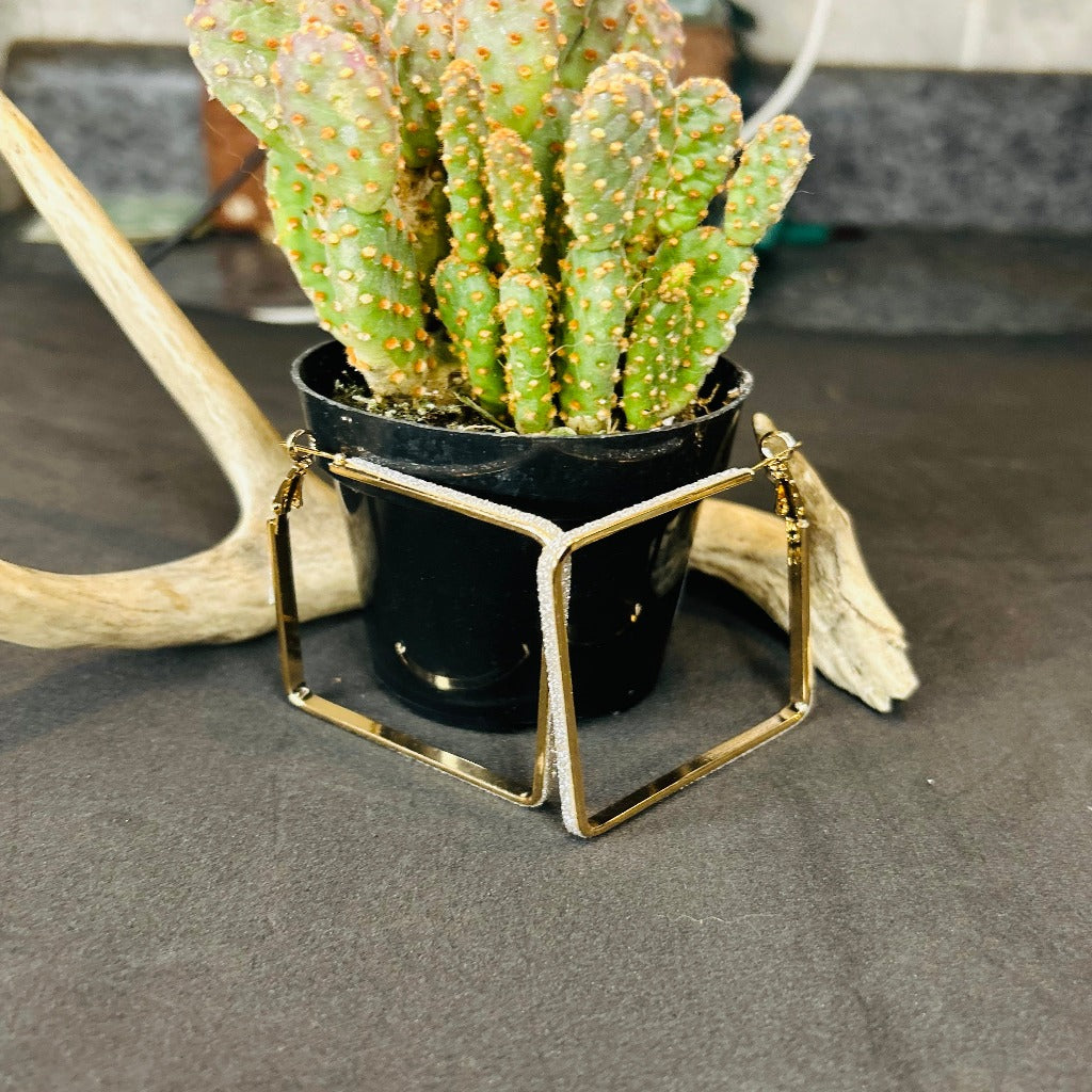 Sleek Chic Square Earrings