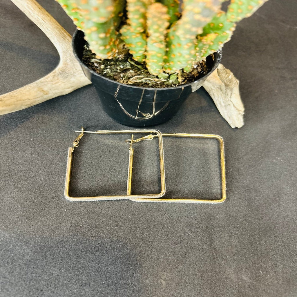 Sleek Chic Square Earrings