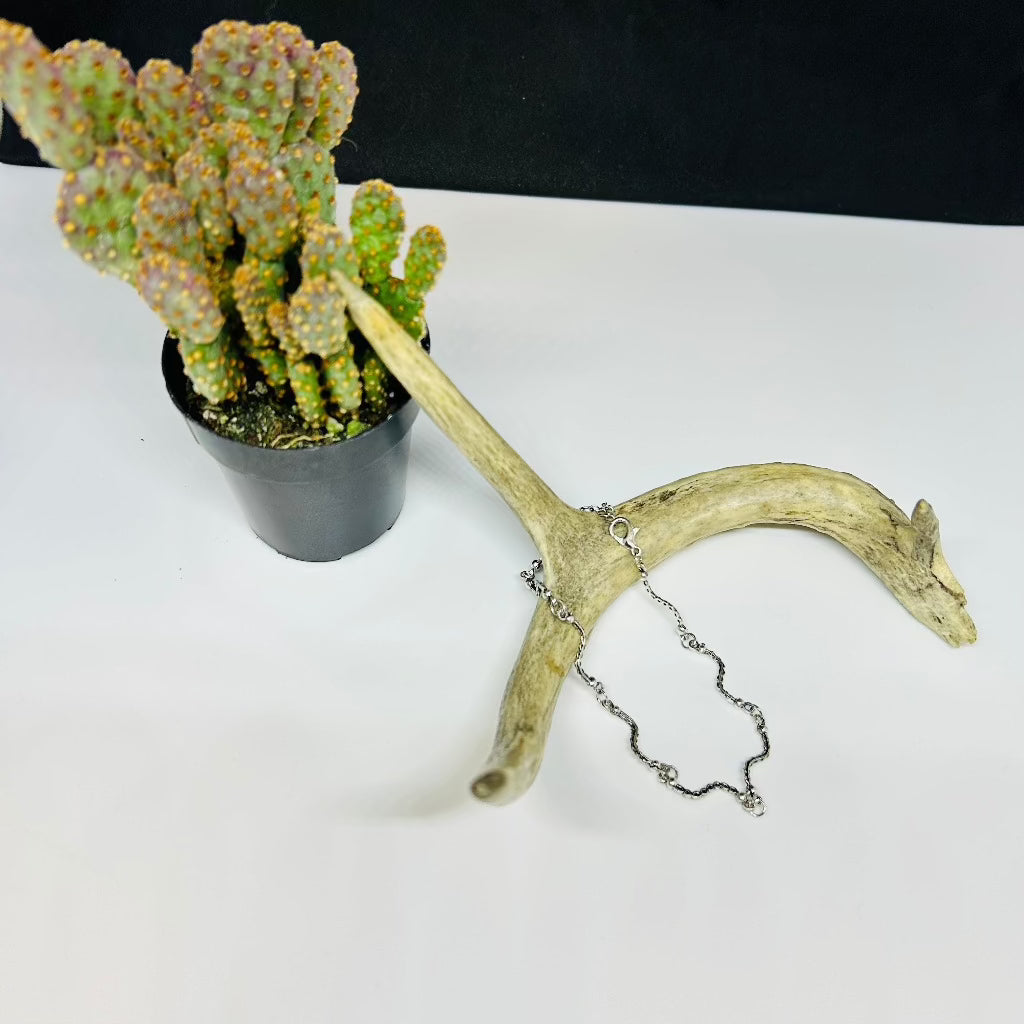 Beach Day Ankle Bracelet