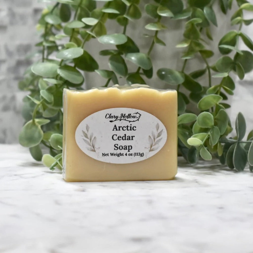 Arctic Cedar Beard Kit