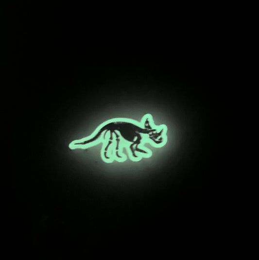 Glow In  The Dark Dino’s