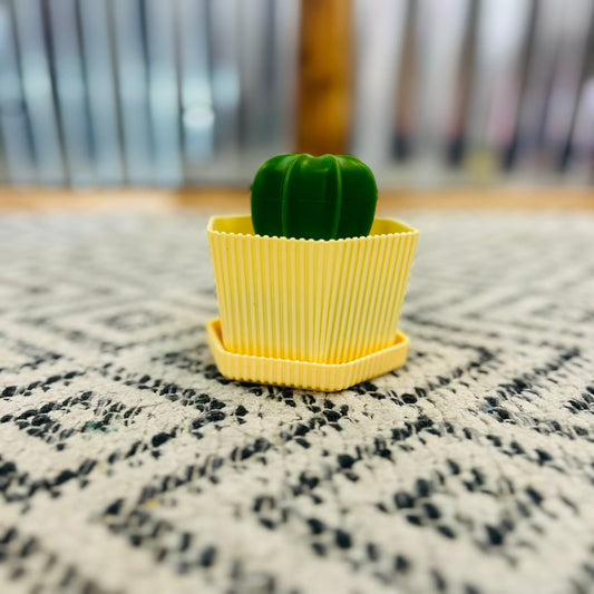 Cactus Sponge