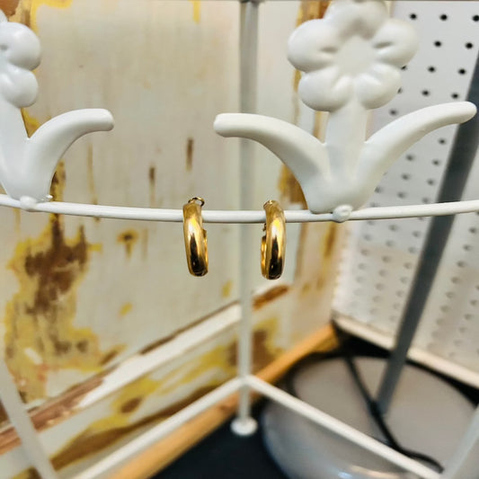 Jenny Hoop Earrings
