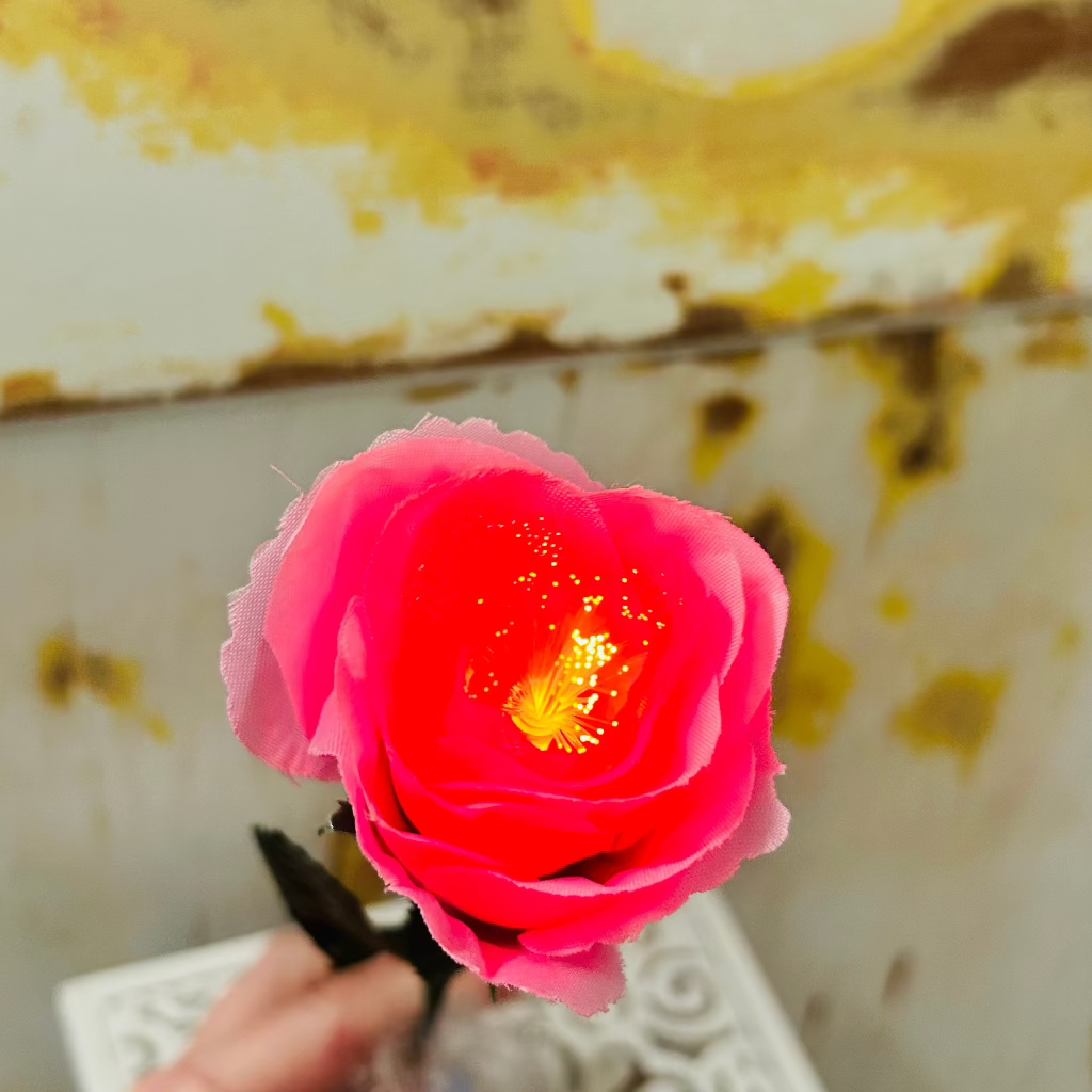 Light Up Roses