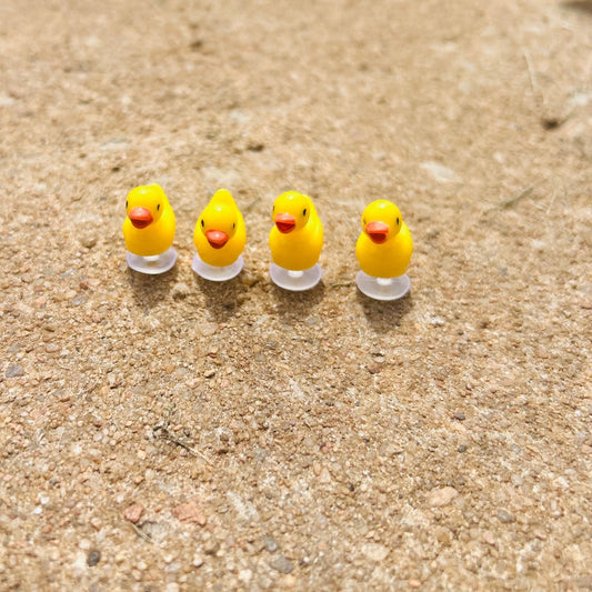 Duck Croc Charms
