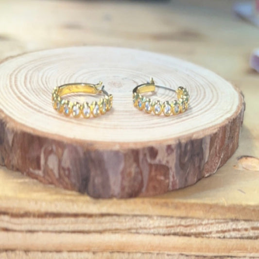 Beautiful Day Hoop Earrings