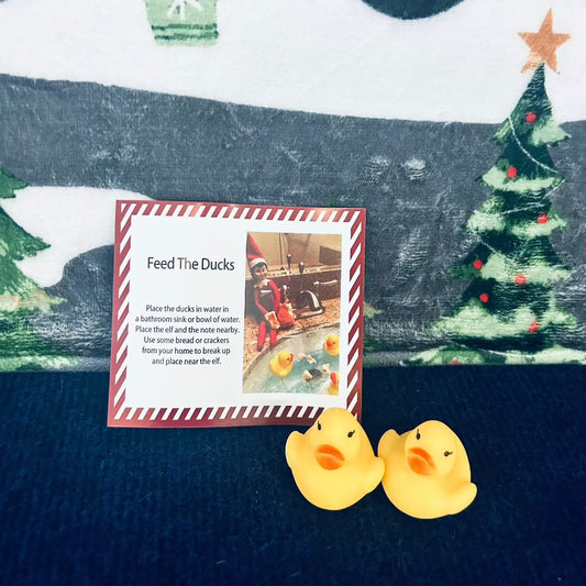 Feed The Ducks Elf Kit