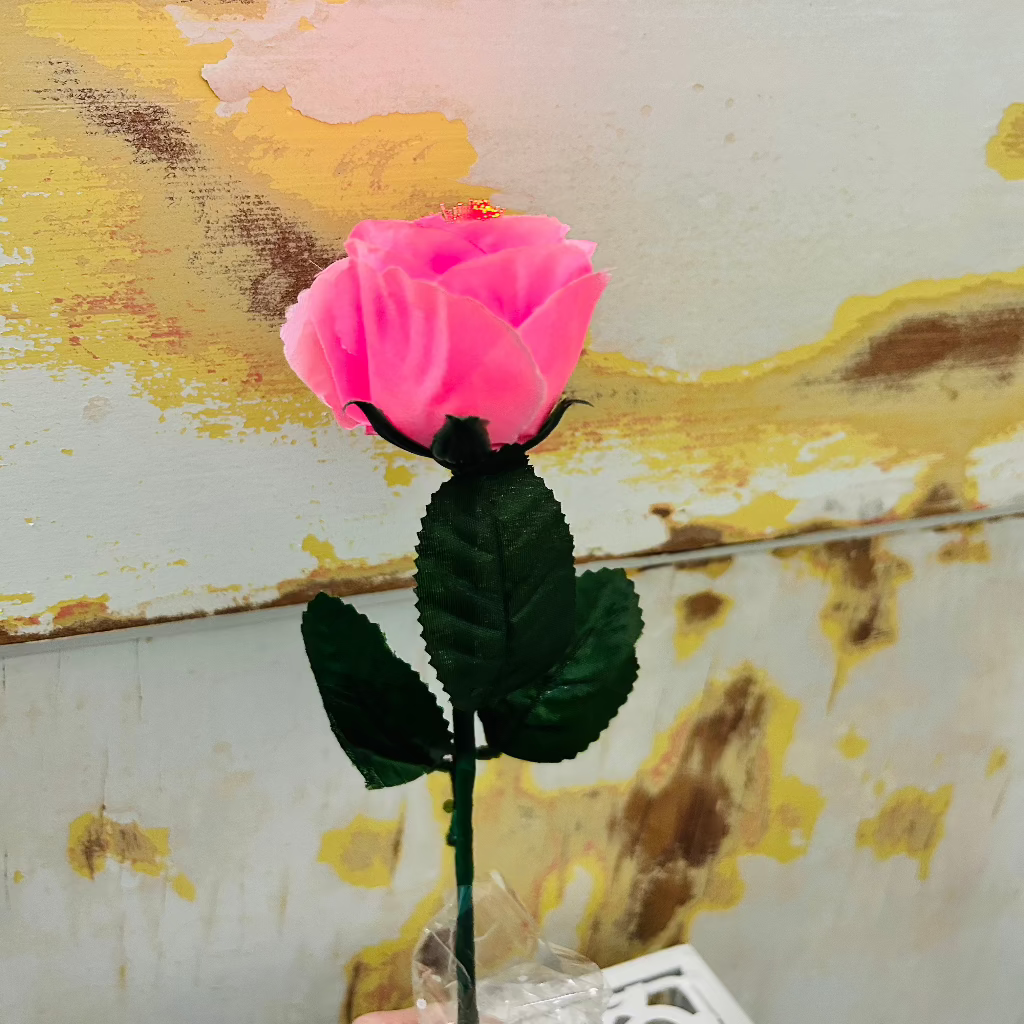 Light Up Roses