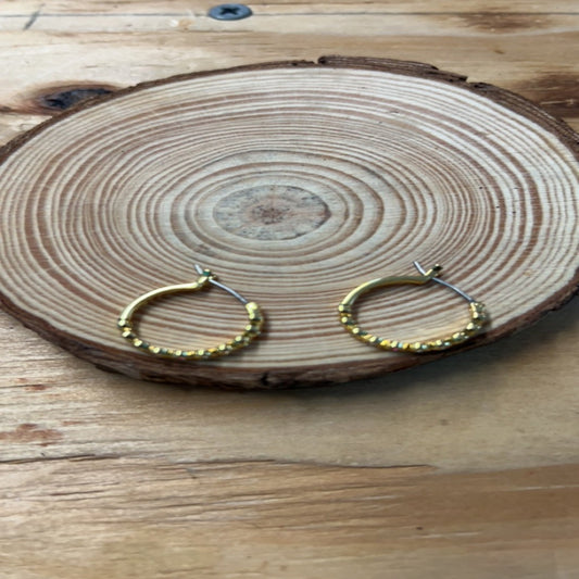 Elegant Earrings