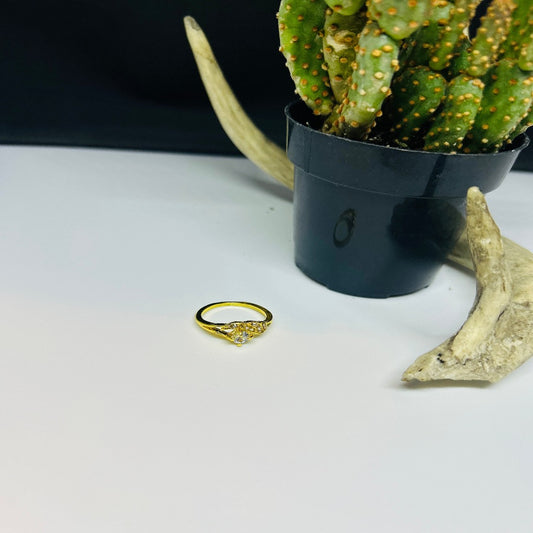 McKenzie Ring