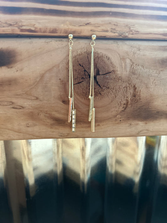 Zazzle Earring