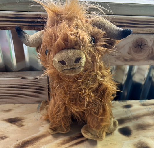 Highland Cow