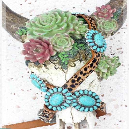 Rocky Mountain Way Belt