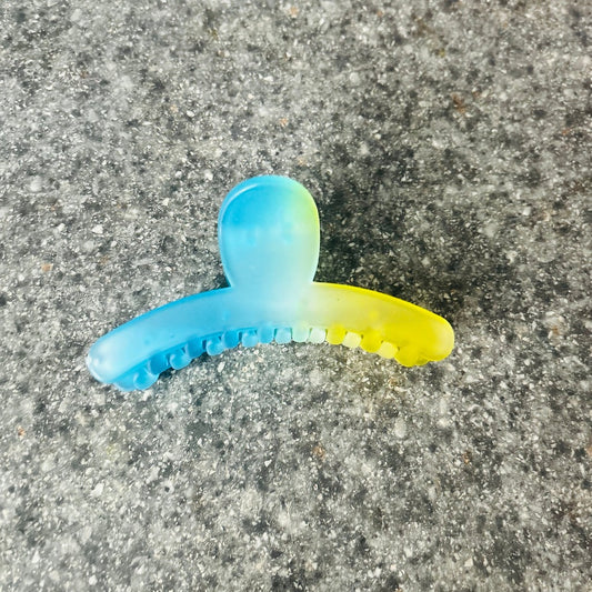 Two Tone Hair Claw