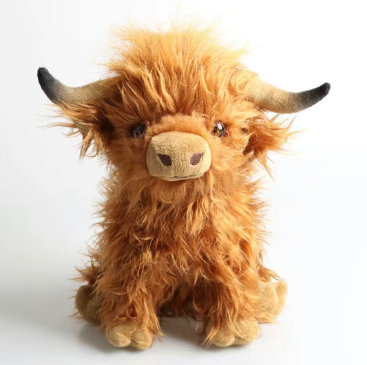 Highland Cow